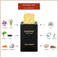 Shaghaf Oud Aswad | Eau de Parfum 75ml | Unisex Fragrance by Swiss Arabian